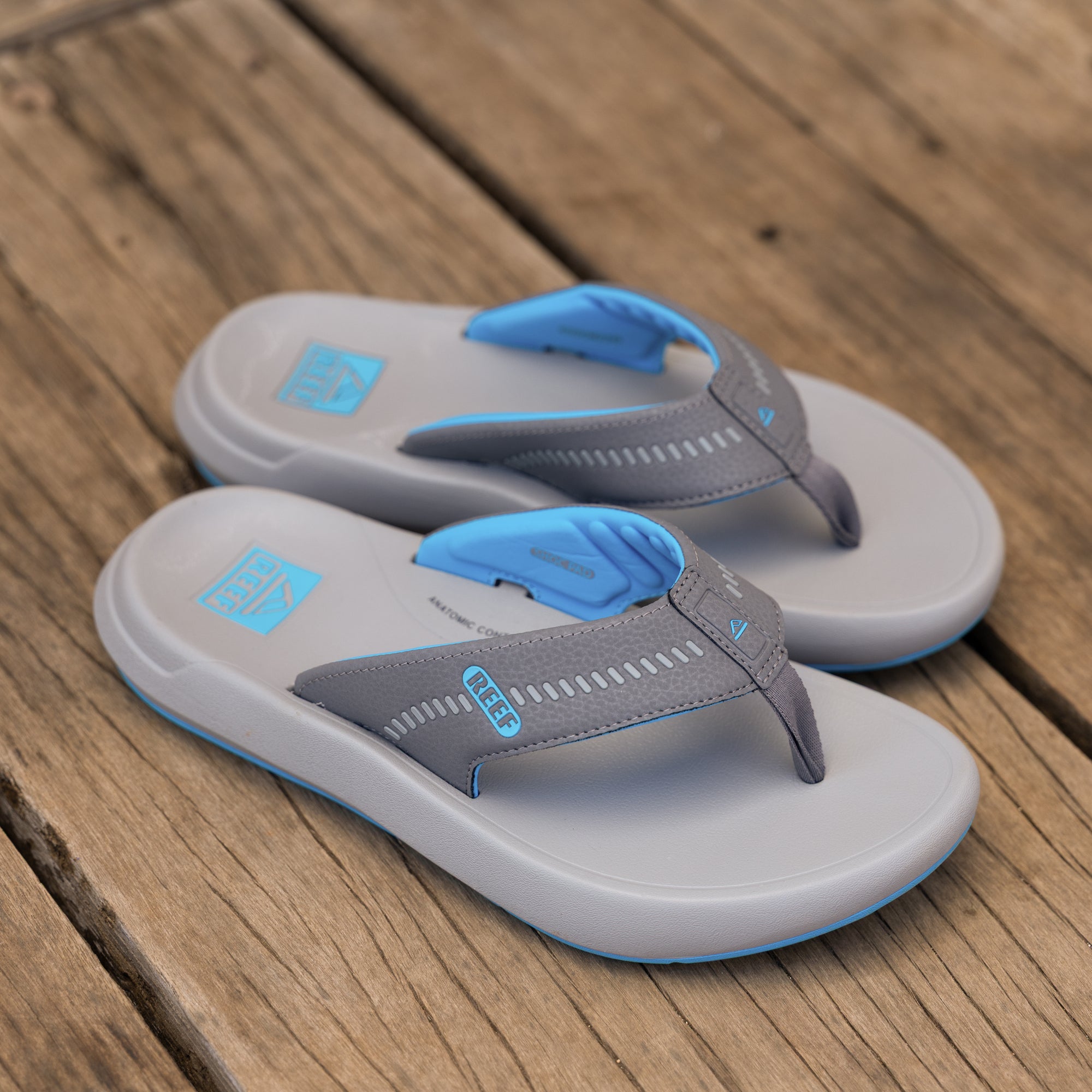 Cruiser - Image 2